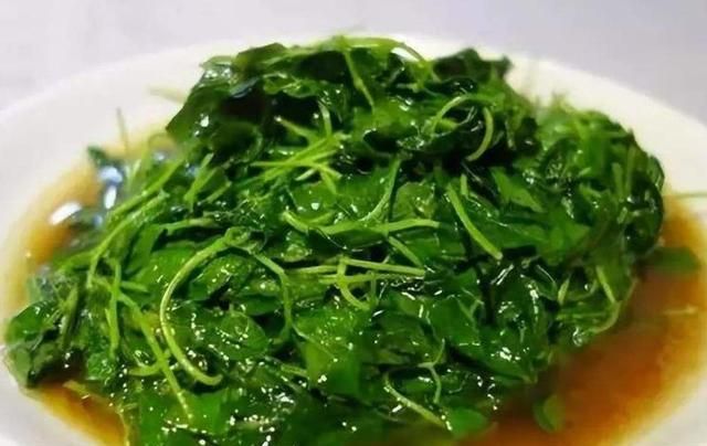 野菜苜蓿草吃法(苜蓿草头吃法)图1