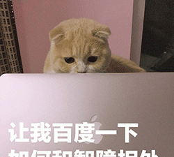 猩教练：正确解锁蛋白粉食用姿势（健身教练都不一定知道）