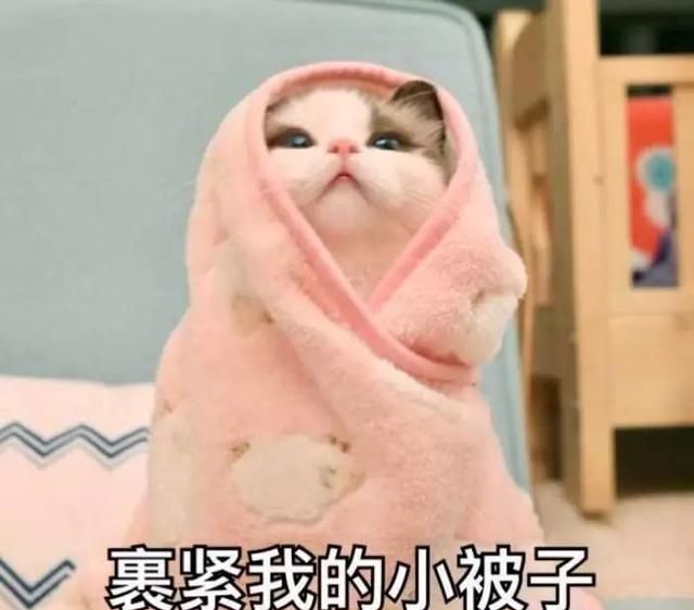猩教练：正确解锁蛋白粉食用姿势（健身教练都不一定知道）