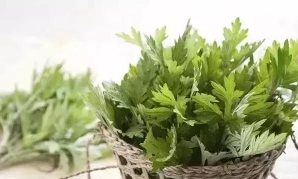 4月吃艾草正当时，原来这样吃效果最好