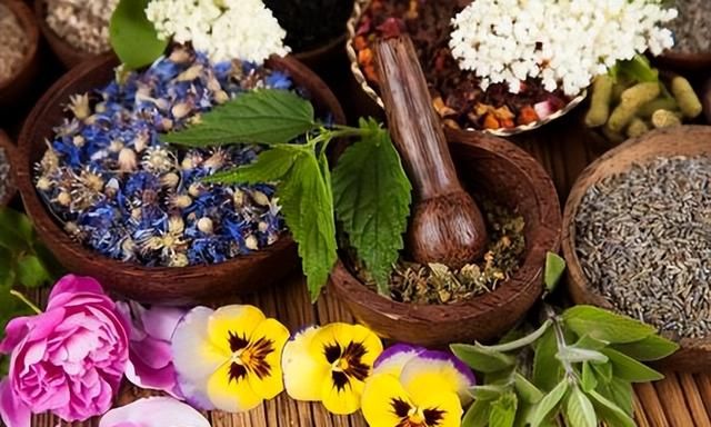 古代花卉的医药用途与药材研究