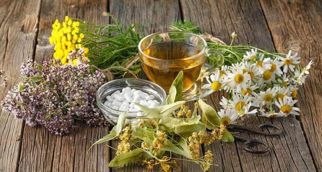 古代花卉的医药用途与药材研究