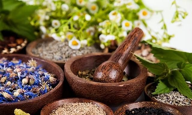 古代花卉的医药用途与药材研究