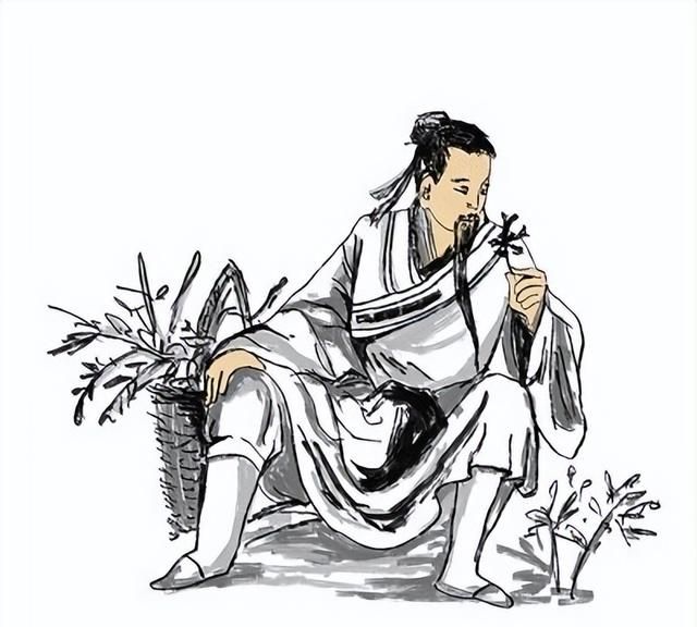 古代花卉的医药用途与药材研究