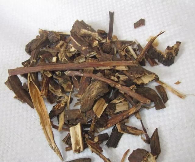 「野味食谱」传说中的“不老草”——列当