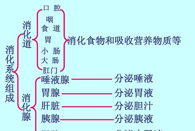 芦荟灌肤对皮肤有什么好处,芦荟凝胶灌肤手法操作图4