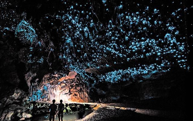 最浪漫的景点新西兰怀托摩洞——真菌蚋幼虫点亮的地下蓝色银河