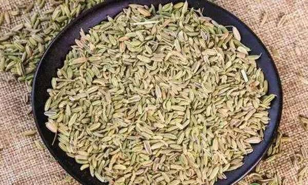 2019年茴香价格多少钱一斤？茴香的功效作用及食用禁忌