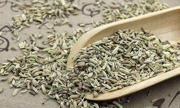 2019年茴香价格多少钱一斤？茴香的功效作用及食用禁忌