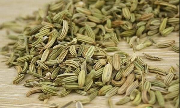 2019年茴香价格多少钱一斤？茴香的功效作用及食用禁忌
