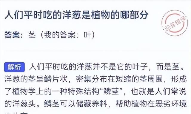 茎菜类蔬菜大全，你全吃过吗？
