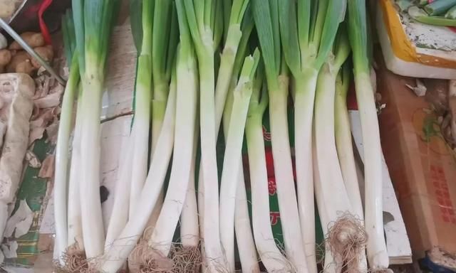 茎菜类蔬菜大全，你全吃过吗？