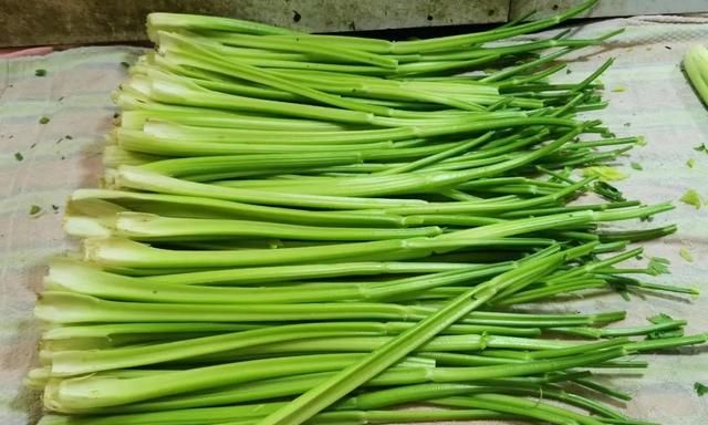 茎菜类蔬菜大全，你全吃过吗？