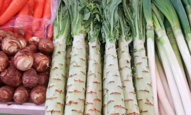 茎菜类蔬菜大全，你全吃过吗？