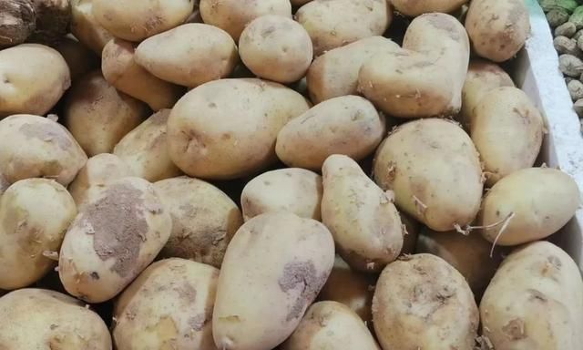 茎菜类蔬菜大全，你全吃过吗？