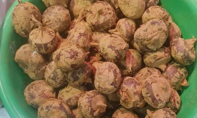 茎菜类蔬菜大全，你全吃过吗？