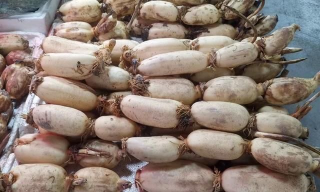 茎菜类蔬菜大全，你全吃过吗？