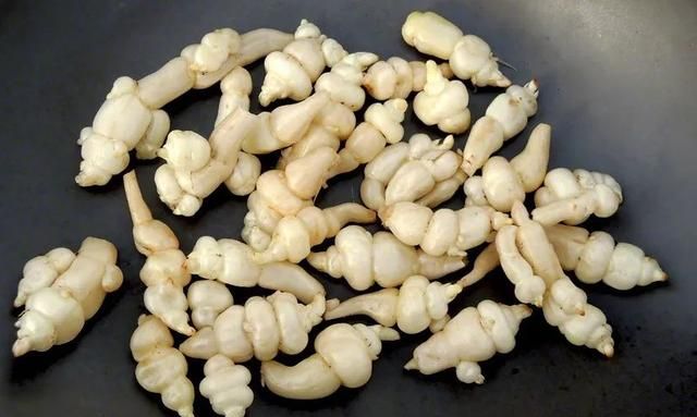 茎菜类蔬菜大全，你全吃过吗？