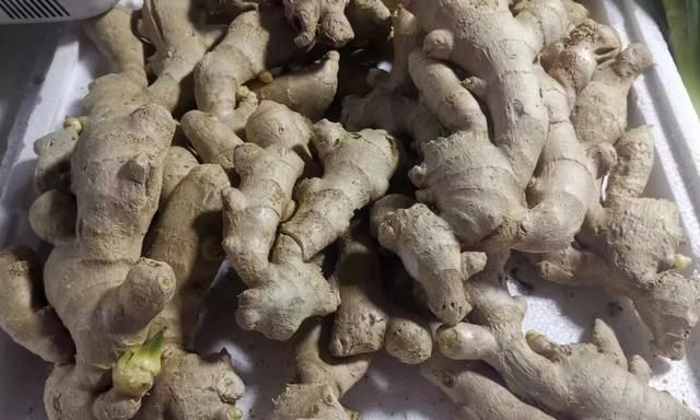 茎菜类蔬菜大全，你全吃过吗？