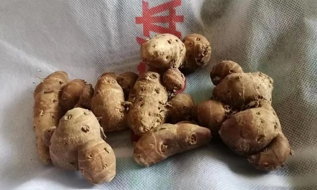 茎菜类蔬菜大全，你全吃过吗？
