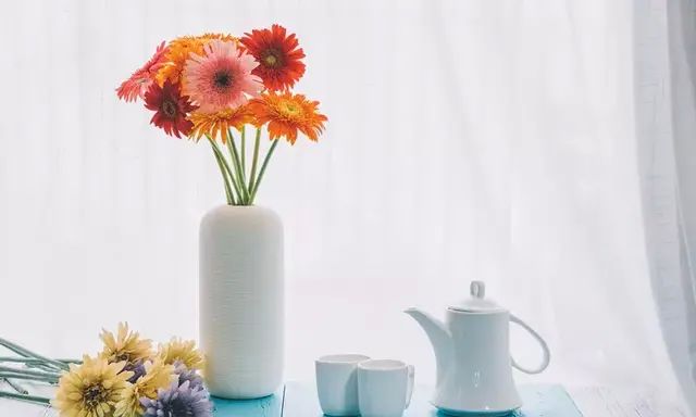 菊花：枕中美梦方，花中灭火器