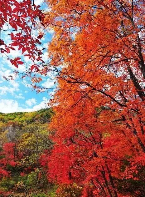 水煮花生能不能吃,糖尿病可以吃水煮花生吗图3