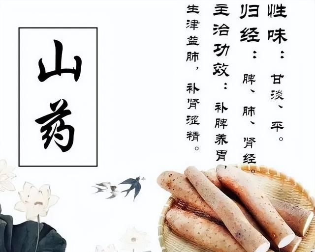 药食同源——山药，滋阴润肺，养肝护肝，快快补起来