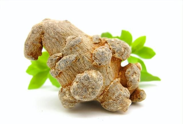 每日一味抗癌中药——三七，散瘀止血、消肿定痛，癌症瘀血常用