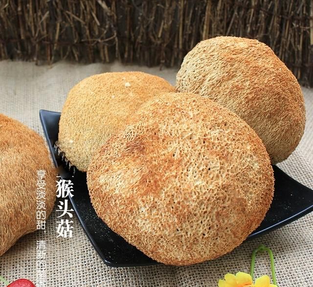 猴头菇三十六吃（一），一个月不重样，今天它是你的菜么？