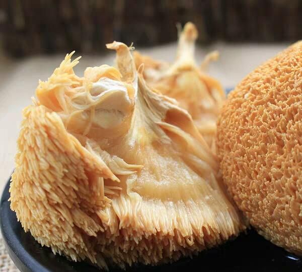 猴头菇三十六吃（一），一个月不重样，今天它是你的菜么？