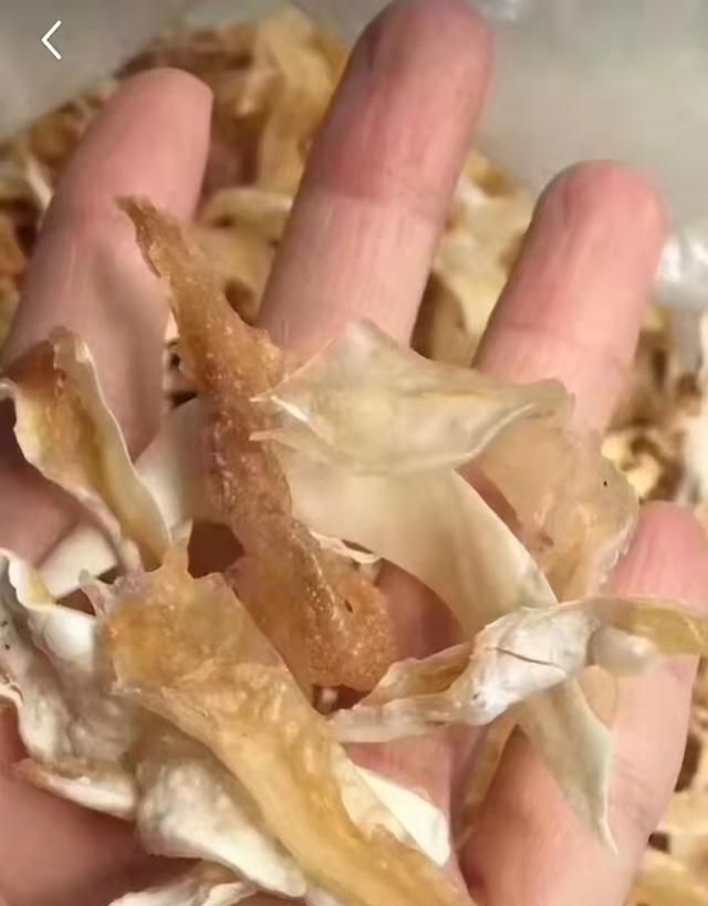 鲨鱼做菜褪沙很重要，跟着湛江人这样做，好吃得汤汁都不剩