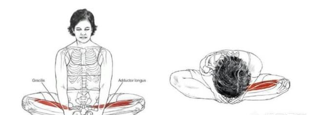 怎样练习好瑜伽的蝴蝶式,瑜伽初学者怎么样练好蝴蝶式图5
