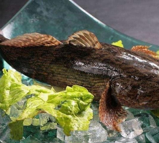 笋壳鱼怎样烹制,笋壳鱼蒸几分钟图2