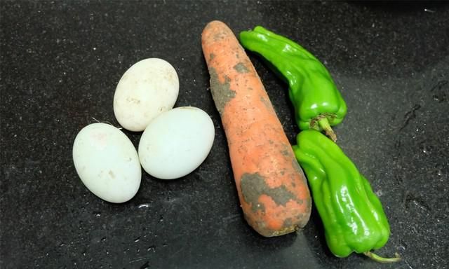 冬天常吃这菜好吃不贵补钙又补血图4