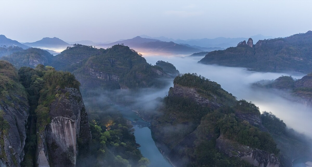 农村称它为地笋或地瓜儿苗，要是得了水肿，浮肿，腹水就会寻找它