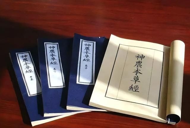 极其精美中草药(图文)(不收藏是你的损失)