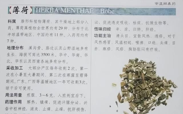 极其精美中草药(图文)(不收藏是你的损失)