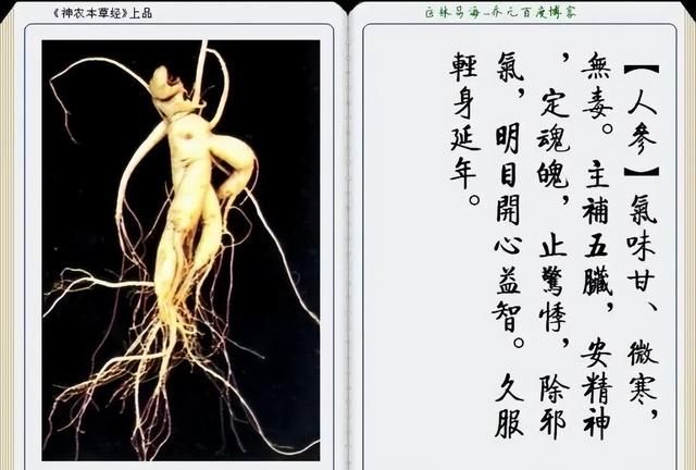 极其精美中草药(图文)(不收藏是你的损失)