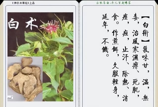 极其精美中草药(图文)(不收藏是你的损失)