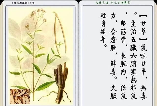 极其精美中草药(图文)(不收藏是你的损失)