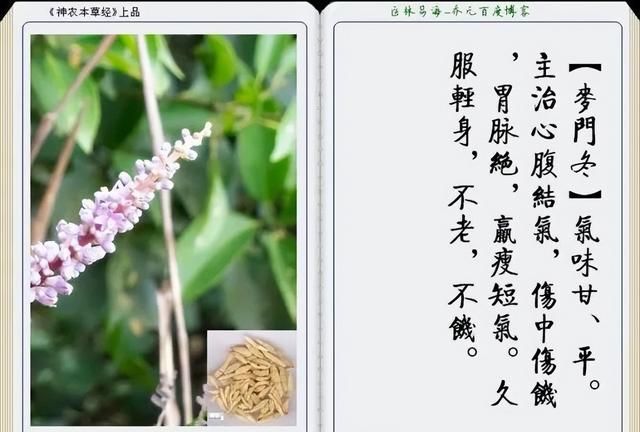 极其精美中草药(图文)(不收藏是你的损失)