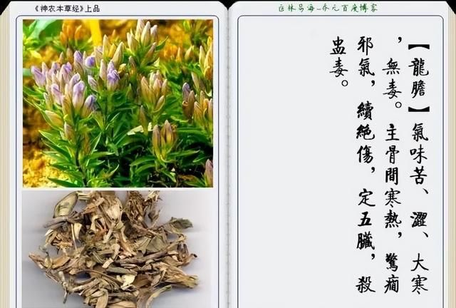 极其精美中草药(图文)(不收藏是你的损失)