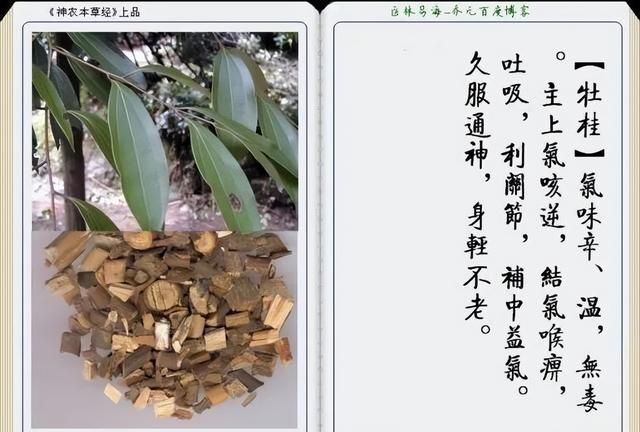 极其精美中草药(图文)(不收藏是你的损失)