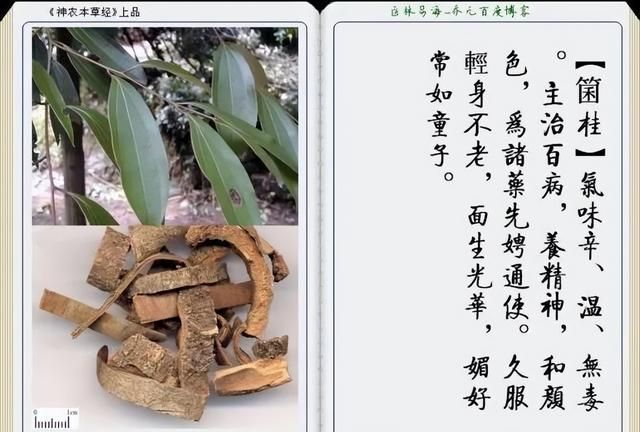 极其精美中草药(图文)(不收藏是你的损失)