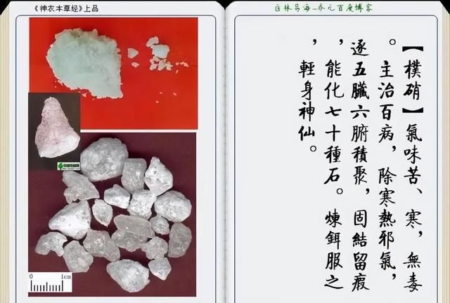 极其精美中草药(图文)(不收藏是你的损失)