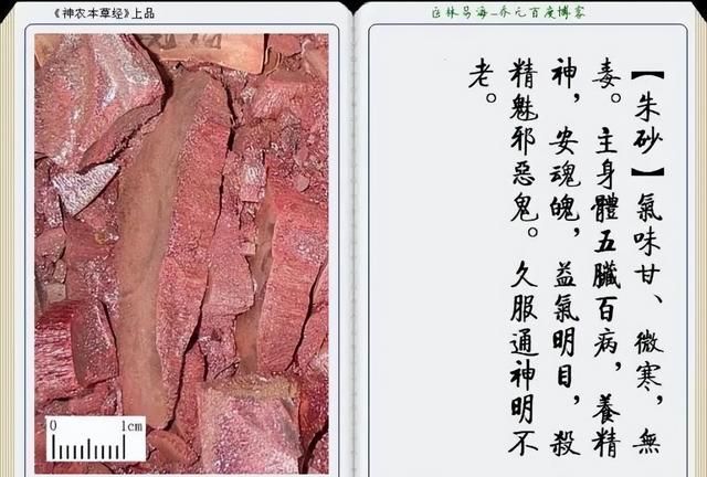 极其精美中草药(图文)(不收藏是你的损失)