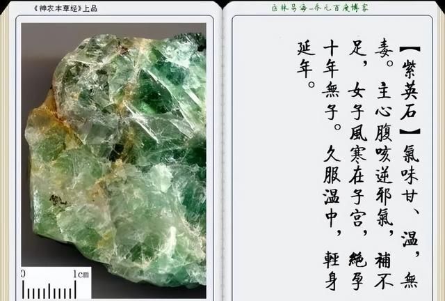 极其精美中草药(图文)(不收藏是你的损失)