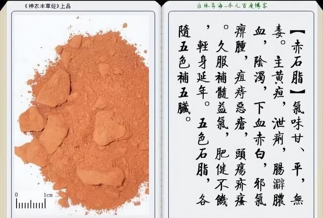极其精美中草药(图文)(不收藏是你的损失)