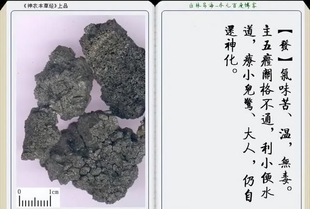 极其精美中草药(图文)(不收藏是你的损失)