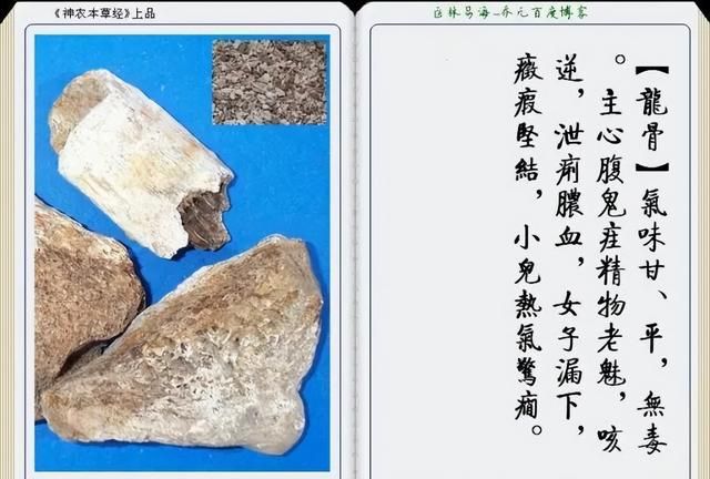 极其精美中草药(图文)(不收藏是你的损失)